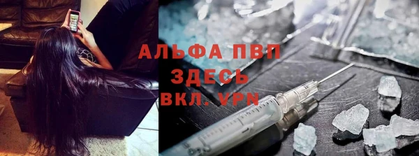 крисы Баксан