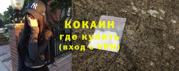 крисы Баксан
