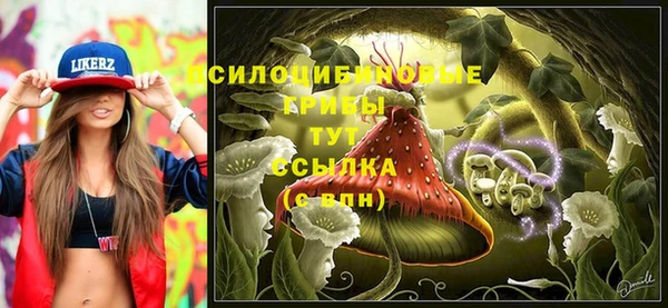 хмурый Балахна