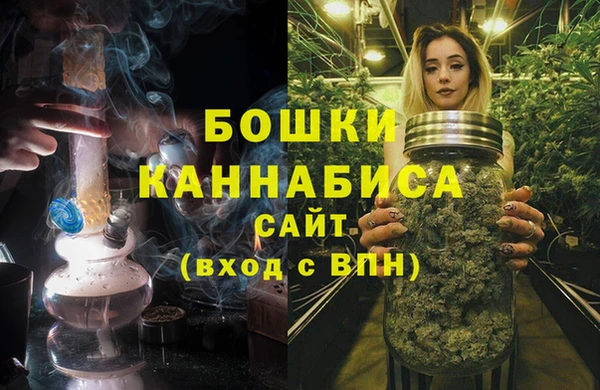 крисы Баксан