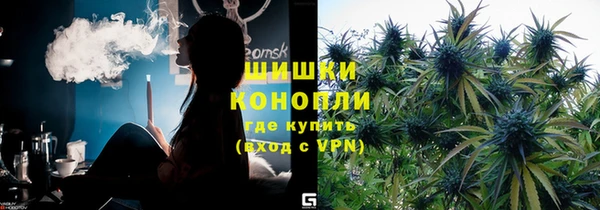 крисы Баксан