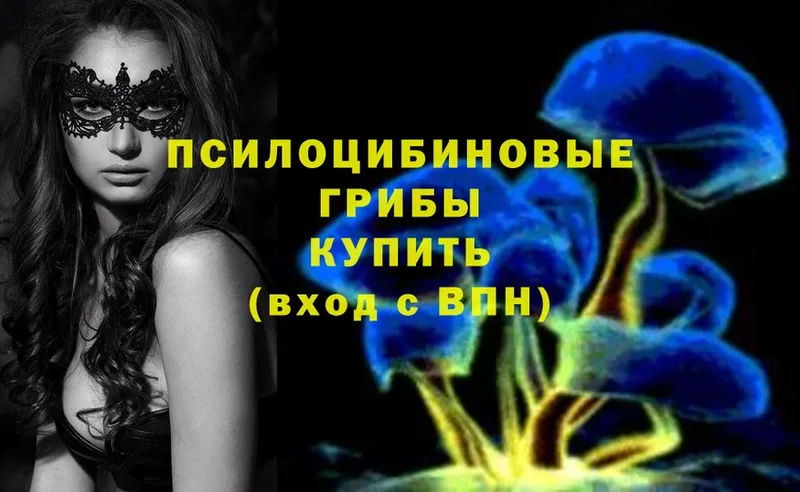 гидра ССЫЛКА  Вуктыл  Галлюциногенные грибы Magic Shrooms 