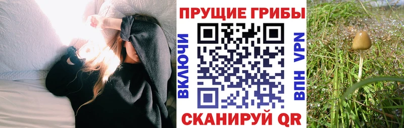 Псилоцибиновые грибы GOLDEN TEACHER  закладки  Вуктыл 