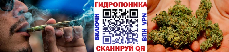 Шишки марихуана MAZAR Вуктыл